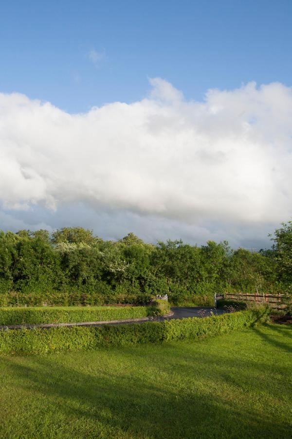 Vila Inviting 4-Bed House In Strokestown Exteriér fotografie