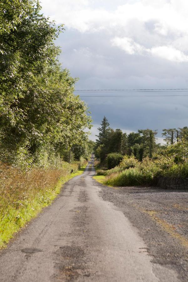 Vila Inviting 4-Bed House In Strokestown Exteriér fotografie